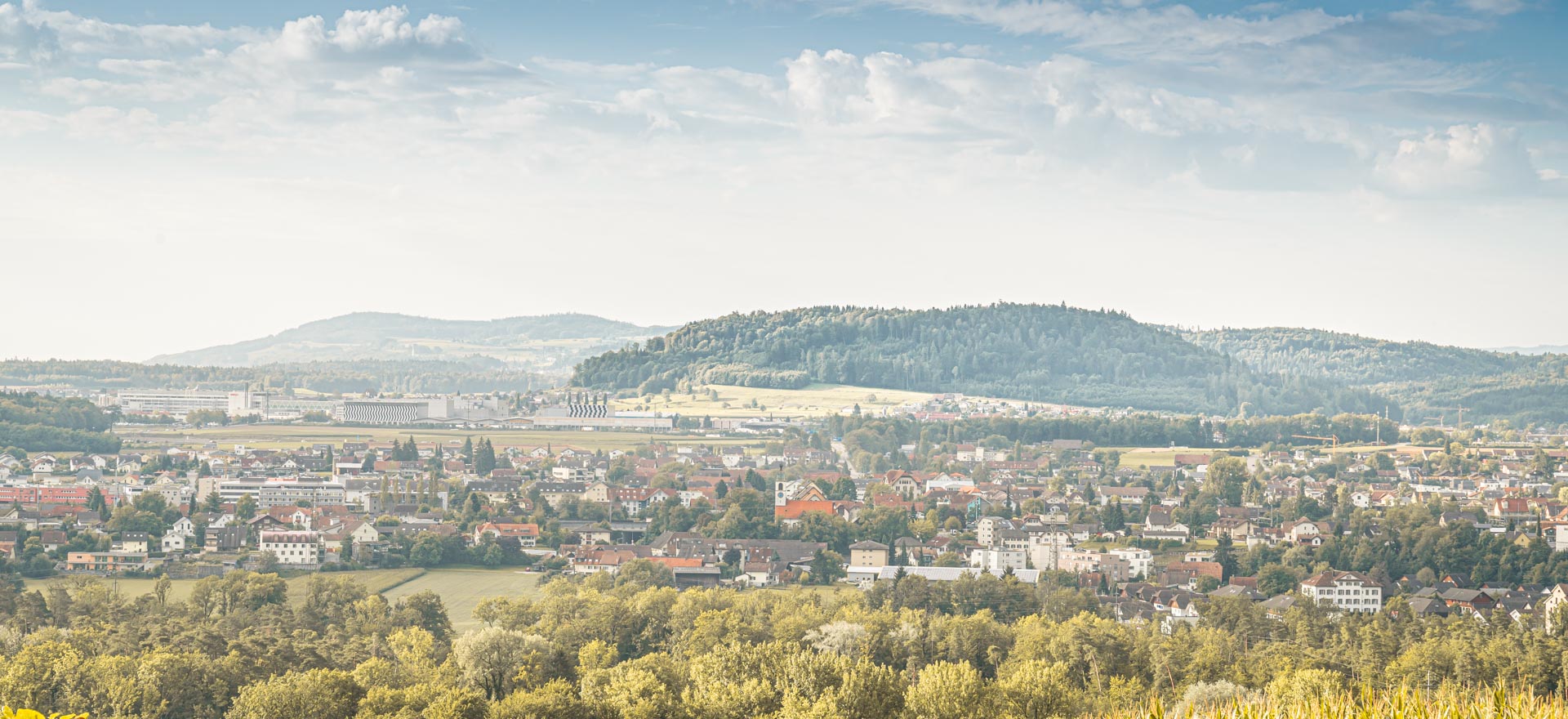 Bild Über den Verein